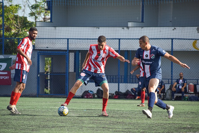 冰壶比赛 冰壶比赛