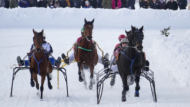 停赛影响了 停赛影响了