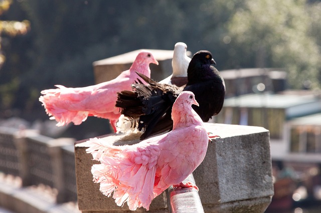 与战术深度 与战术深度