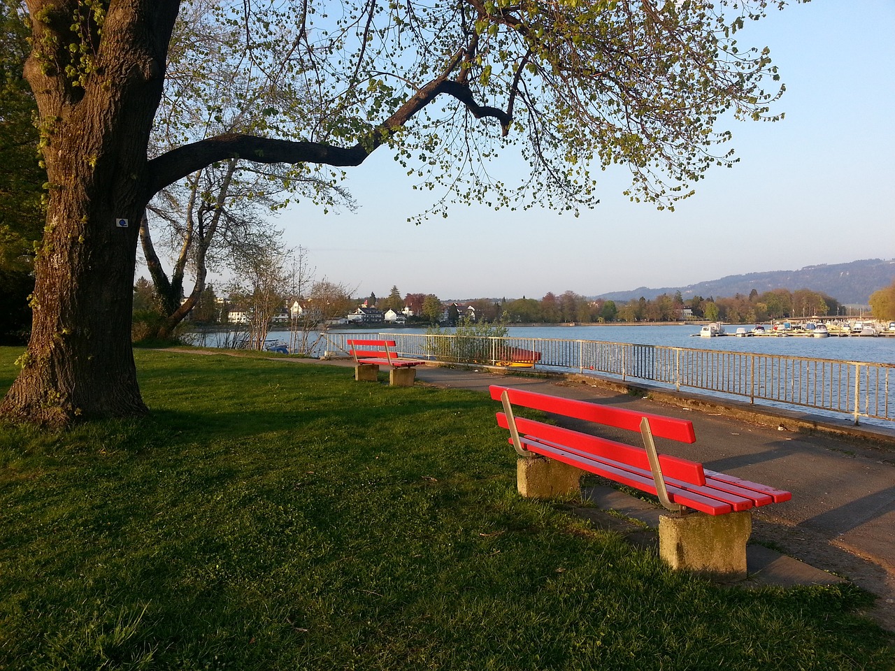 析乌克兰的 析乌克兰的