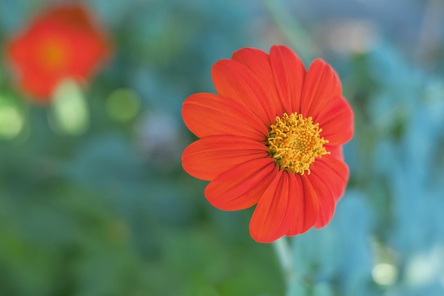 在非洲国家 在非洲国家