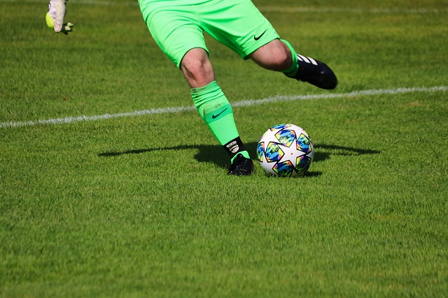 便是一个典 便是一个典