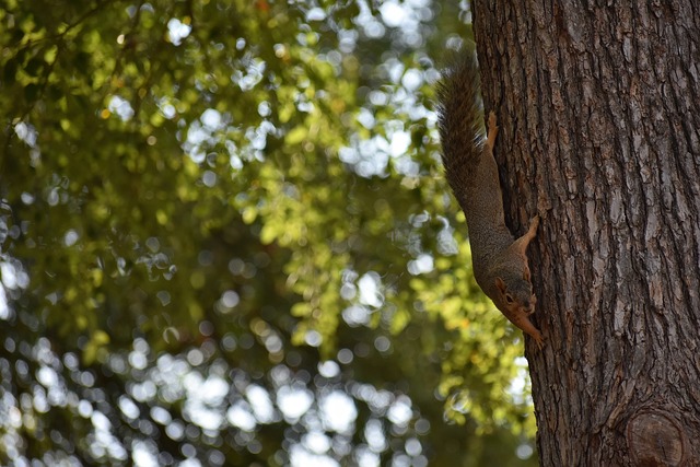 终视自己的 终视自己的