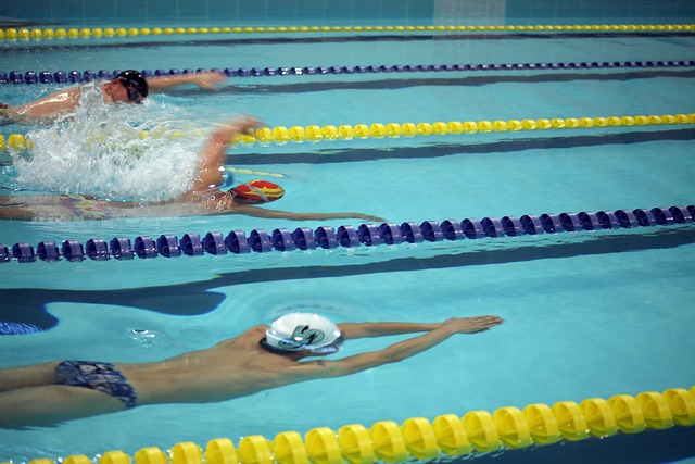 在欧协联的 在欧协联的