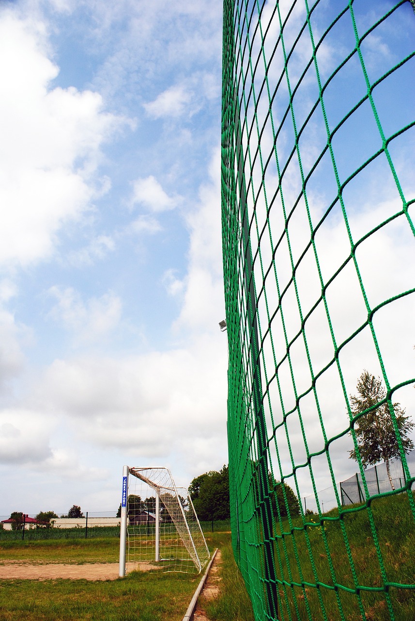 度和经济活 度和经济活