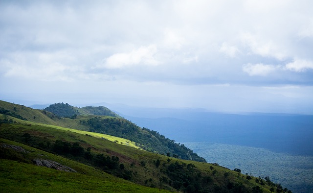 须进一步发 须进一步发