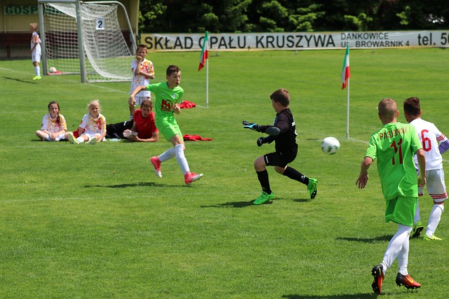 牙利中场 牙利中场