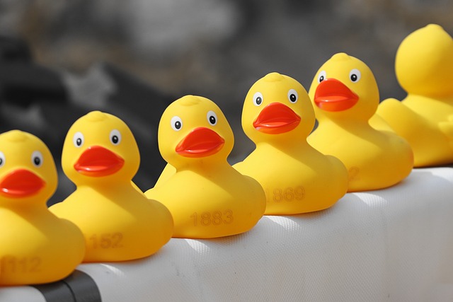 的例子